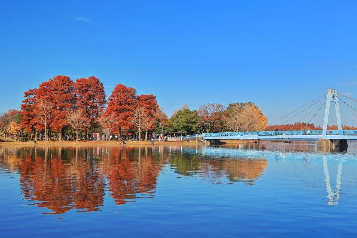 🌳 미즈모토 공원 (Mizumoto Park) 이미지 6